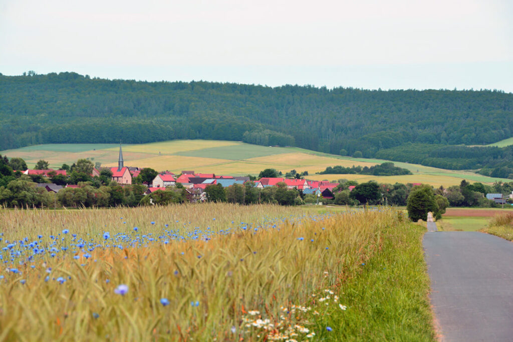 BDer Fulda-Radweg bei Kämmerzell
