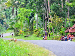 Der Boluminski Highway auf New Ireland, Papua Neuguinea.