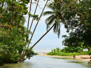 Am Strand von Laraibinia auf New Ireland, Papua Neuguinea