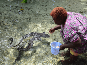 Evany füttert die Aale auf New Ireland, Papua Neuguinea.   