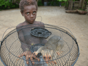 Ein Junge zeigt einen Kuskus, Kletterbeutler. New Ireland, Papua Neuguinea.