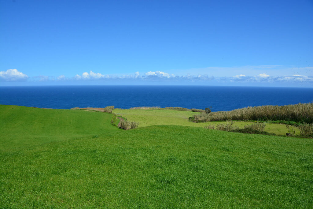 Grün-blaue Weite. Blick von der Nordküste