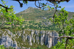 Blicke Richtung Wolfstal, Vallée du Loup, und auf das Felsmassiv darüber