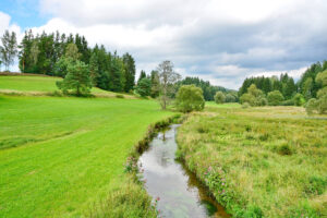 Im Selbbachtal am Brückenradweg