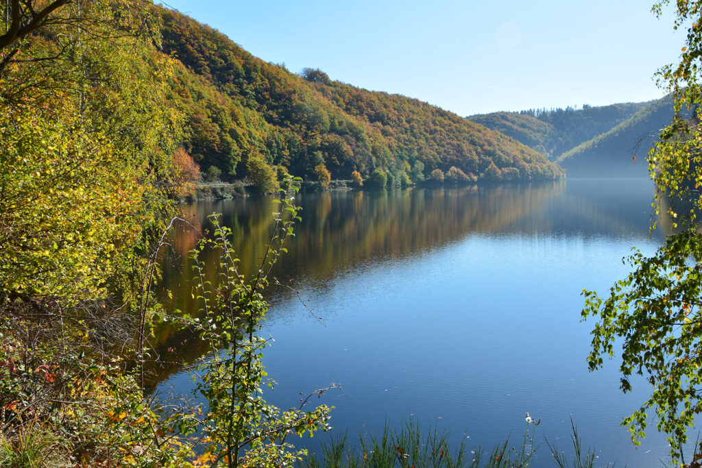 Blicke auf den Rursee und den Nationalpark Eifel