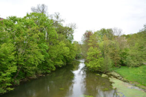  An der Ilm in Weimar