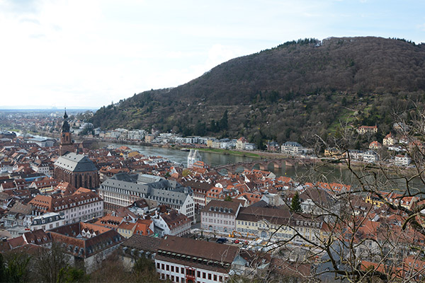 Heidelberg-Schwarzwald-Bodensee-Radweg