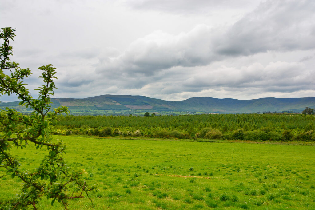 Blick auf die Comeragh Mountains vom Waterford Greenway aus