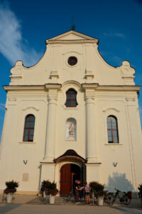 Stei383