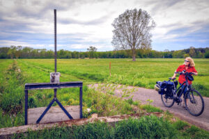 Wehr in den Queichwiesen