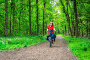 Auf dem Queichtalradweg