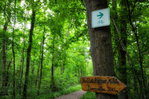Beschilderung am Radweg in der Südpfalz