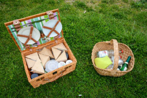 Picknickkoffer am Rhein