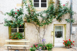 Blumenpracht in Saint-Jean-de-Côle